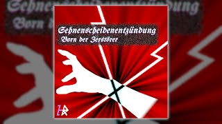 Born der Zerstörer – Sehnenscheidenentzündung [upl. by Aenahs139]