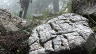 Salita alla Porticina dal rifugio Zacchi  SentieriNatura 2009  17 [upl. by Ahsenwahs285]