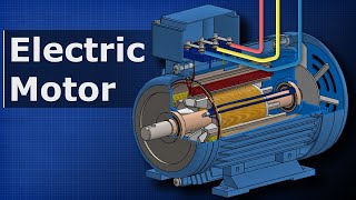 How Electric Motors Work  3 phase AC induction motors ac motor [upl. by Llywellyn857]