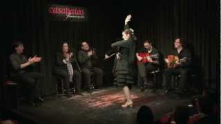 CASA PATAS FLAMENCO EN VIVO 160  ISABEL RODRIGUEZ [upl. by Ahseirej]