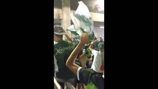 Barra da Chape  Chapecoense x San Lorenzo [upl. by Bottali851]