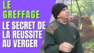 COMMENT GREFFER UN ARBRE FRUITIER  LE SECRET DE LA REUSSITE AU VERGER [upl. by Schonfield]