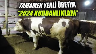 Akum Tarım ve Hayvancılığın Şahane 2024 Kurbanlıkları [upl. by Oniger316]