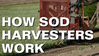 See Close up How a Sod Harvester Works [upl. by Tri142]