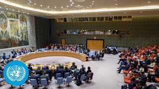 Ukraine Emergency Security Council Meeting full  United Nations [upl. by Merfe]