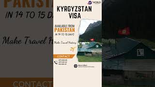 KYRGYZSTAN VISA [upl. by Ahsemik55]