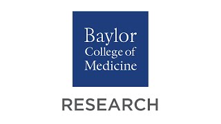 Research  Baylor College of Medicines School of Medicine [upl. by Brenza]