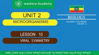 BIOLOGY GRADE 12 UNIT 2 LESSON 10 VIRAL SYMMETRY [upl. by Gentry]