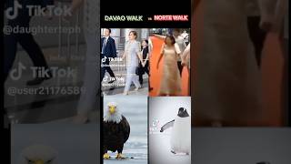 Davao walk vs Norte walk music [upl. by Truk]