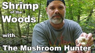 Shrimp of the Woods with The Mushroom Hunter [upl. by Htebsle831]