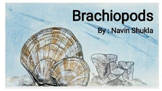 BrachiopodsByNavin ShuklaLasthope [upl. by Eenyaj596]