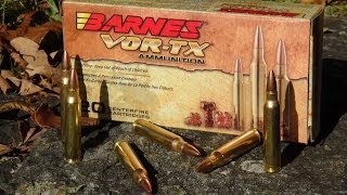 AMMO REVIEW 223 Barnes VORTX 55 gr TSX Copper [upl. by Sioled324]