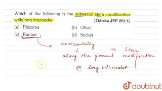 Which of the following is the subaerial stem modification with long intermode [upl. by Lawley]