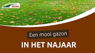 Mooi gazon in het najaar  DCM Gazonmeststof Najaar [upl. by Ahtoelc]