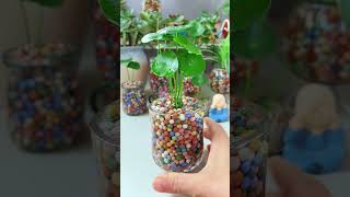 Amazing planting flower in cup so beautiful garden diy flower flowerplanter plantingideas [upl. by Htezzil295]