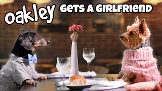 MISSION DATE NIGHT  Funny Wiener Dog Date [upl. by Llekcir]