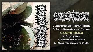 Agujero Podrido  Promo EP 2021  Goregrind  Mincecore [upl. by Nalrah]