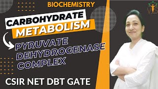 Pyruvate Dehydrogenase Complex  Pyruvate Oxidation CSIR NET  Carbohydrate Metabolism Biochemistry [upl. by Bean89]