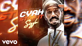 Sizzla  Cyah Stop It Official Audio [upl. by Everrs]