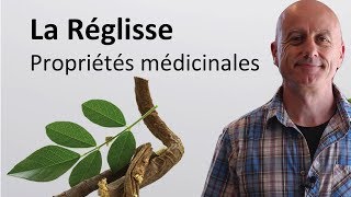 Réglisse  propriétés médicinales [upl. by Marj]