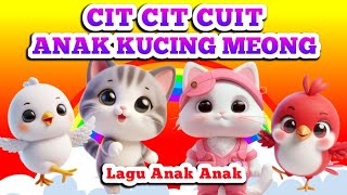 CIT CIT CUIT  ANAK KUCING MEONG MEONG  Lagu Anak Anak  Lagu Anak Balita  Nine Kids [upl. by Assenay654]