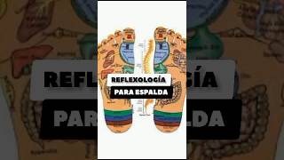 REFLEXOLOGIA PARA LA ESPALDA [upl. by Ecnarretal]