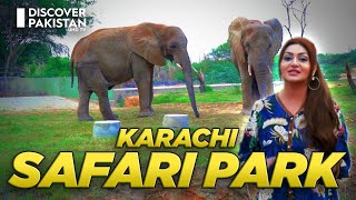 Wild Wonders Await  Unleash Fun at Safari Park Karachi  Hello Karachi  Discover Pakistan [upl. by Brittne]