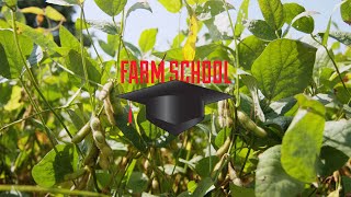 How to grow earlyplanted soybeans  Farm School  Successful Farming [upl. by Ahseken]