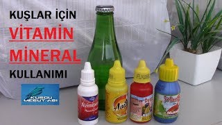 Kafes Kuşları İçin Vitamin ve Mineral Nasıl Kullanılır [upl. by Eecrad]