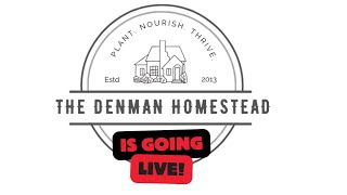 The Denmans Are Going Live 6pm CST [upl. by Balmuth]