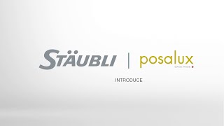 Posalux FEMTO laser machine solution using Stäubli industrial robot [upl. by Haiasi187]