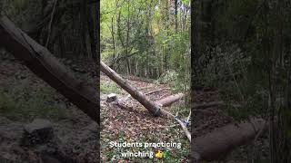 Stuck hung up tree 🌲🫣 is defo coming down 😁 training arborist forestry winching treework [upl. by Shult381]