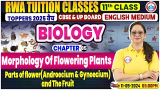 Class 11 Biology Chapter 5  Morphology Of Flowering Plants By Vandana Mam [upl. by Ara]