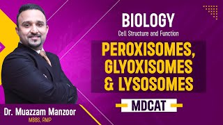 19 Biology  Cell Structure and Function  Peroxisomes Glyoxisomes and Lysosomes  MDCAT 2025 [upl. by Brandice933]