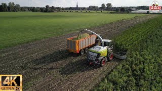 part 5 Cornharvest 2023 Van Rulo Claas jaguar 950 750 orbis John Deerefendt dronefootage [upl. by Ymerej669]