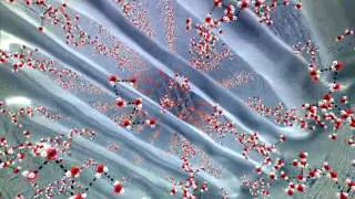 Root Hair Cells  GCSE Biology [upl. by Okubo621]