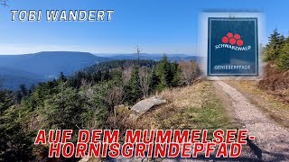 Auf den höchsten Berg des Nordschwarzwaldes 1164m  Genießerpfad Mummelsee Hornisgrindepfad [upl. by Fabrin]