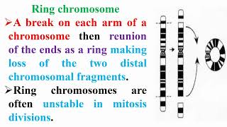 Ring Chromosome Meaning [upl. by Aeirdna]