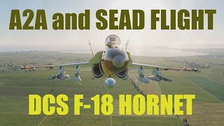 Ralfis Alley  F18 SEAD and CAP cover [upl. by Francie948]