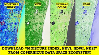 Download Moisture Index NDVI NDWI NDSI from Copernicus Data Space Ecosystem [upl. by Susanetta]