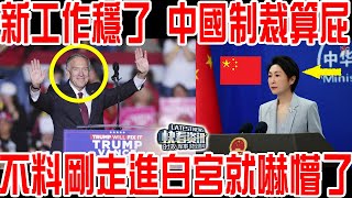 川普勝選！新工作穩了！中國制裁算個屁！蓬佩奧明確「提醒」川普：苟富貴，勿相忘！不料剛走進白宮就嚇懵了！ [upl. by Nadda835]