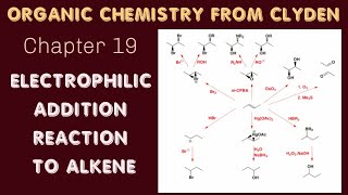 ELECTROPHILLIC ADDITION REACTION TO ALKENE  CHAPTER 19  ORANIC CHEMISTRY FROM CLYDEN [upl. by Adrell]