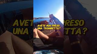 Avete mai preso una trombetta🎺🐟spinningfishing fishing pescainmare [upl. by Aehsa]