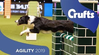 Agility  Championship Final  ​Crufts 2019 [upl. by Triny]