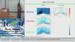 Marta Abalos Impact of ozone depleting substances on the stratospheric BrewerDobson circulation [upl. by Eiuqcaj551]