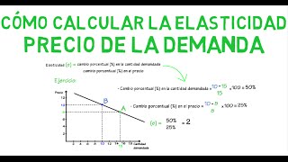 Cómo calcular la elasticidad  Cap 7  Microeconomía [upl. by Leile]