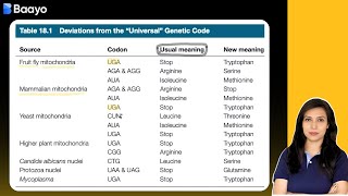 Genetic Code  Codon  Protein synthesis  Translation [upl. by Astraea]