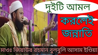 ২টা আমল কৰিলেই জান্নাত পাব মৌলানা জিয়াউৰ ৰহমান বুলবুলি ওয়াজ moulana Ziabur Rahman bulbuli waz [upl. by Callery]