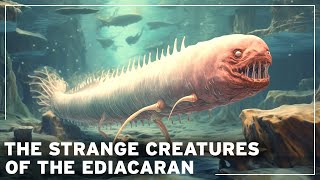 Before the Dinosaurs The Mysteries of the Lost Age of Ediacaran Creatures  Documentary [upl. by Damali]