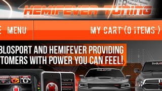 Hemifever tuning review [upl. by Brande843]